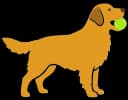 Bruno Logo