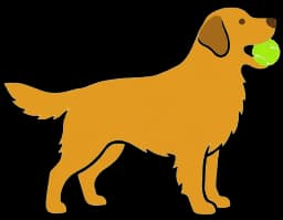 Bruno Logo
